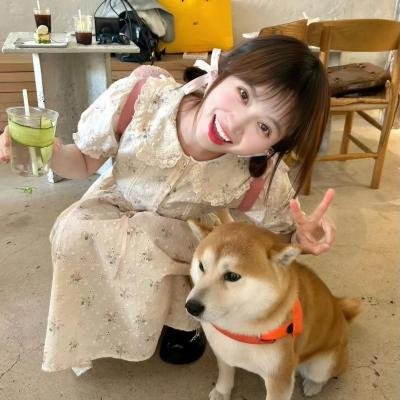 龙虎兴邦 封面